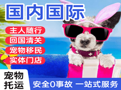 昌都邦达航空快运国际宠物托运 【国